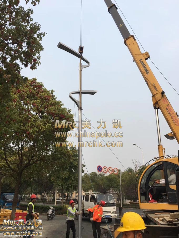 鯉躍龍門(mén)鋁燈桿